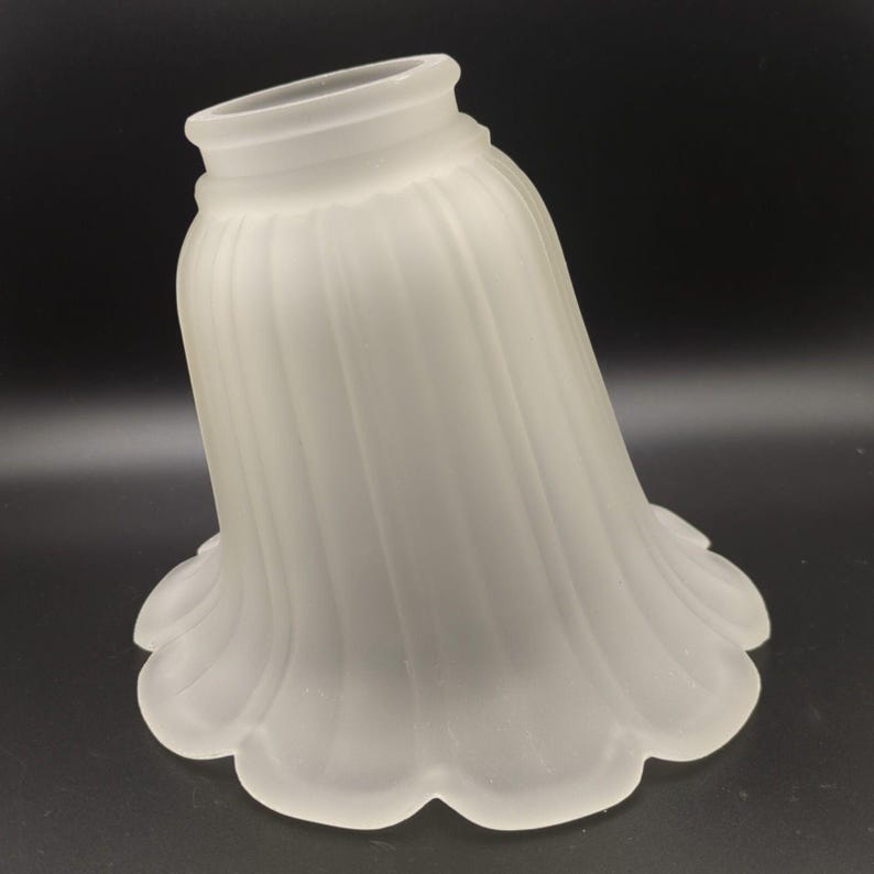 Glass Lamp Shade Replacement Morning Glory? Tulip? Frosted Clear Floral Shaped image 5