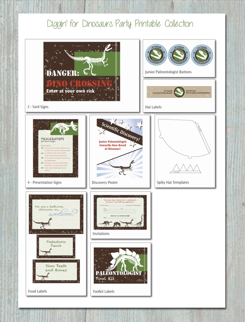 Dinosaur Dig Birthday Party Printables Set INCLUDES - Etsy