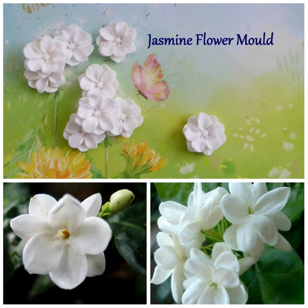 Jasmine Flower Silicone Mold, DIY crafts, Chocolate Candy, Cupcake Topper, Cake Decorations Fondant,Polymer Clay