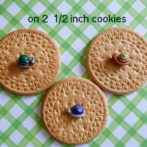 May include: Three round cookies, each with a small, decorative snail figurine. The snails are in green, brown, and blue. The cookies are on a green and white checkered background. Text on the image reads "on 2 1/2 inch cookies."