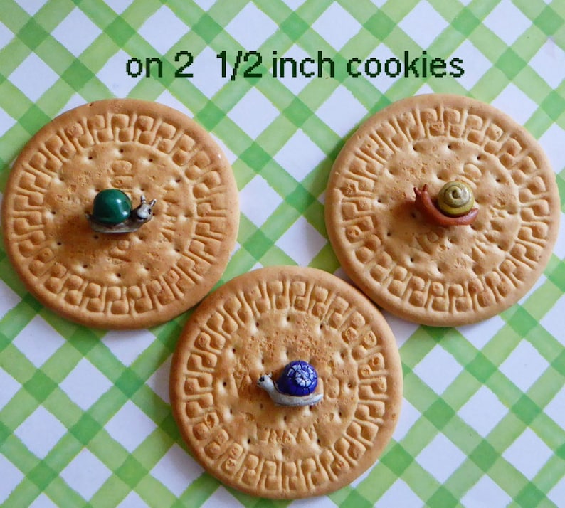 May include: Three round cookies, each with a small, decorative snail figurine. The snails are in green, brown, and blue. The cookies are on a green and white checkered background. Text on the image reads "on 2 1/2 inch cookies."