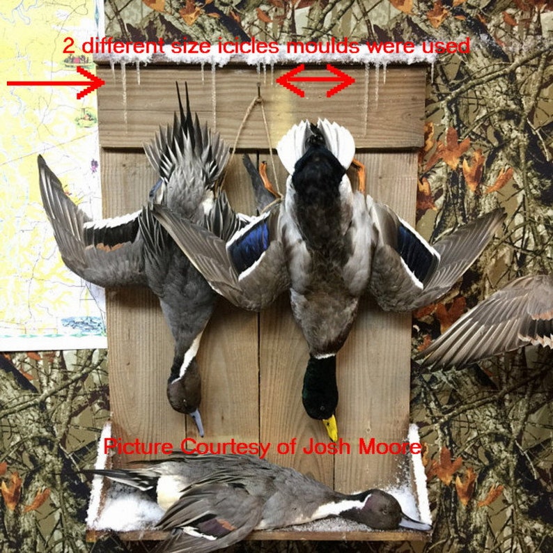 Peut inclure: Des canards naturalis&eacute;s mont&eacute;s sur une planche de bois. Les canards sont expos&eacute;s avec leurs ailes d&eacute;ploy&eacute;es, mettant en valeur leur plumage. L'arri&egrave;re-plan pr&eacute;sente un motif de camouflage.