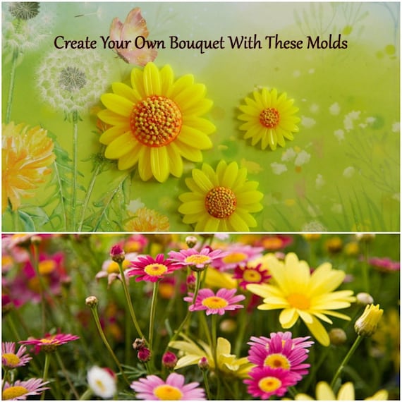 Il_570xn
