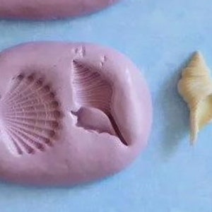 K&ouml;nnte beinhalten: Auf hellblauem Hintergrund befinden sich eine Muschel, eine Muschelform und eine Kegelmuschel. Die Muschel ist beige, die Form ist lavendelfarben und die Kegelmuschel ist beige. Der Text "Mold B" ist in Dunkelblau.