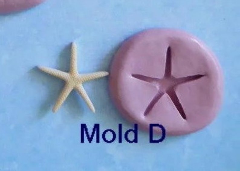 K&ouml;nnte beinhalten: Ein Seestern und eine rosa Form mit einem Seestern-Abdruck werden auf einer hellblauen Oberfl&auml;che gezeigt. Der Text "Mold D" ist darunter in Dunkelblau geschrieben. Der Seestern ist beige.