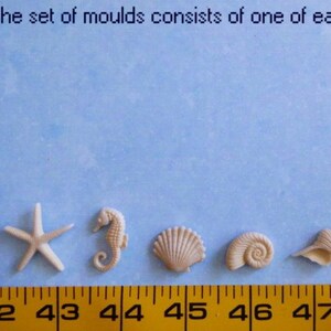 K&ouml;nnte beinhalten: Ein Set aus f&uuml;nf beigefarbenen Muschelformen, darunter ein Seestern, ein Seepferdchen und verschiedene Muscheldesigns. Der Text oben lautet "the set of moulds consists of one of each". Ein gelbes Ma&szlig;band befindet sich auf der linken Seite.