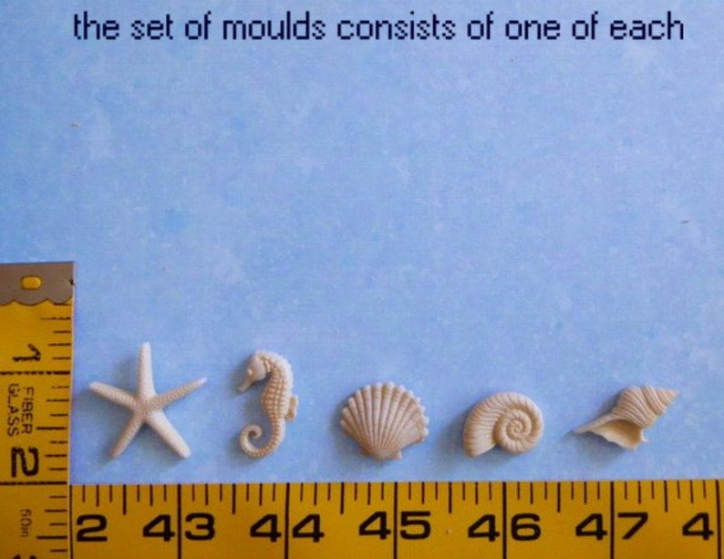 K&ouml;nnte beinhalten: Ein Set aus f&uuml;nf beigefarbenen Muschelformen, darunter ein Seestern, ein Seepferdchen und verschiedene Muscheldesigns. Der Text oben lautet "the set of moulds consists of one of each". Ein gelbes Ma&szlig;band befindet sich auf der linken Seite.