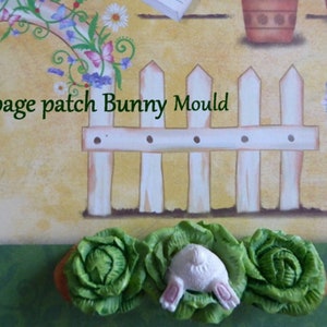 May include: A decorative mold featuring a bunny's rear end emerging from a cabbage. The mold is white with pink accents, set against a green and orange cabbage. The text "Cabbage patch Bunny Mould" is visible.
