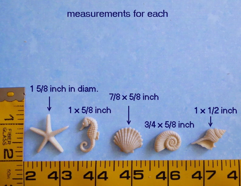 K&ouml;nnte beinhalten: Eine Sammlung kleiner, cremefarbener Muschel- und Seestern-Dekorationen. F&uuml;r jedes St&uuml;ck sind Ma&szlig;e angegeben, darunter ein Seestern mit einem Durchmesser von 4,1 cm und ein Seepferdchen mit den Ma&szlig;en 2,5 x 1,6 cm. Der Text "measurements for each" ist sichtbar.