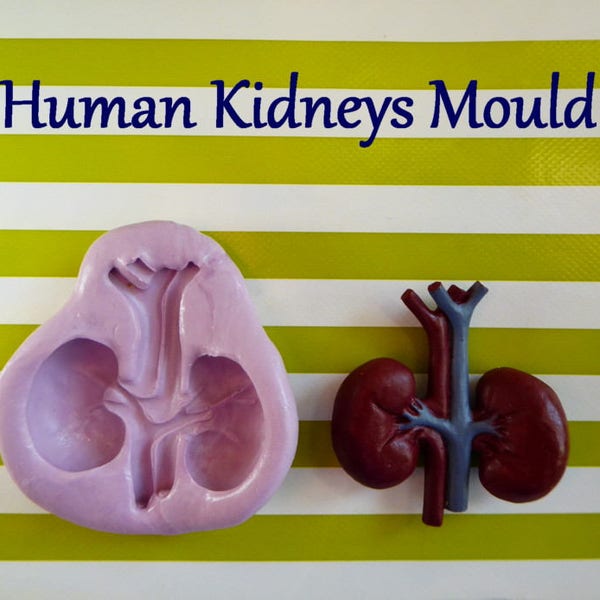 Silicone Mold DIY Crafts Chocolate Candy Cupcake Topper Fondant Polymer Clay Kidney Human Organ Halloween