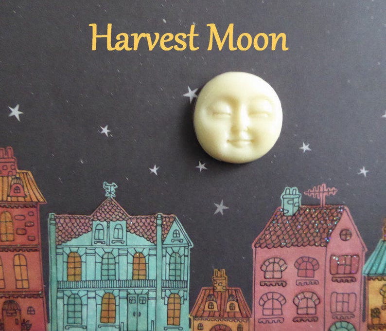 May include: A cream-colored, smiling moon face with closed eyes, set against a dark background with stars and colorful illustrated houses. The text "Harvest Moon" is displayed in gold letters above the moon.