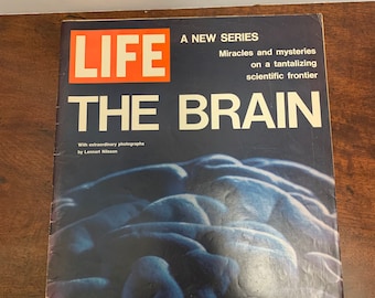 Vintage 1971 LIFE Magazine