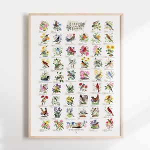 State Bird and Flower Poster | Modern State Bird and Flower Illustrated Poster - Bird and Botanical US Poster
