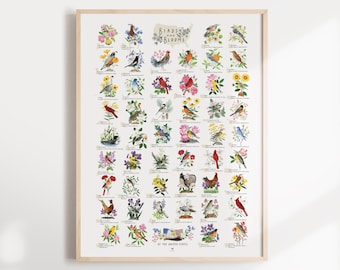 State Bird and Flower Poster | Watercolor US Botanical Art Print