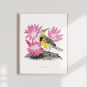 Puede incluir: Una pintura de acuarela de un pájaro amarillo y negro posado en una roca con flores rosas. El pájaro es un  Merlo de las praderas occidental y las flores son un tipo de flor silvestre. La pintura está titulada "MONTANA".