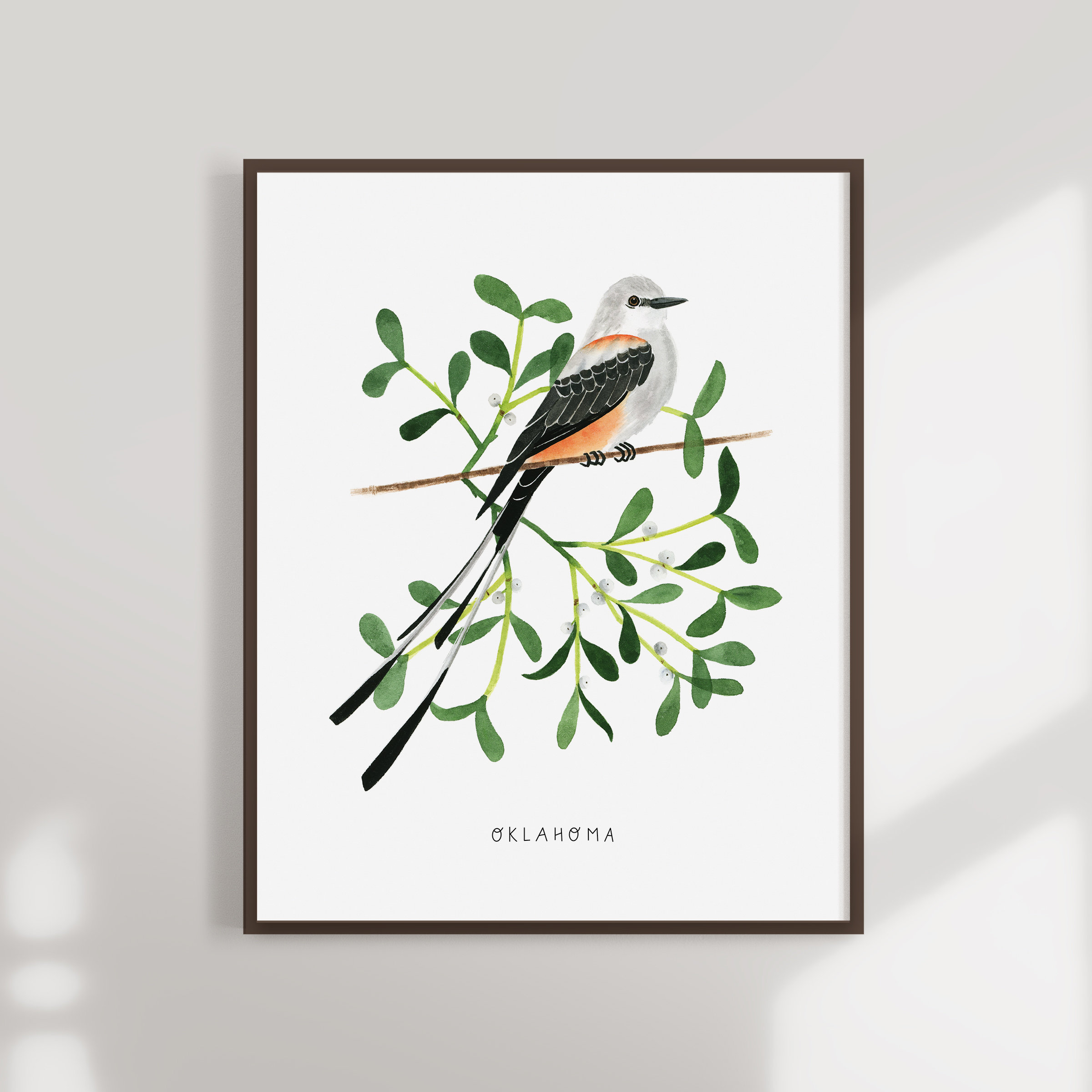 Oklahoma State Bird Art Print | Scissor-tailed Flycatcher, Mistletoe - Etsy