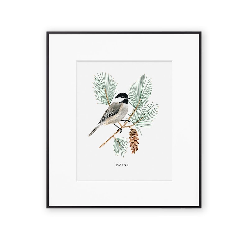 Maine State Bird Art Print Maine Chickadee and Pinecone - Etsy