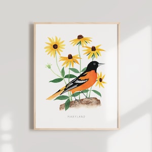 Maryland State Bird Art Print | Maryland Oriole and Black-eyed Susan - State Flower - State Bird - Maryland Wall Art - Watercolor Home Decor
