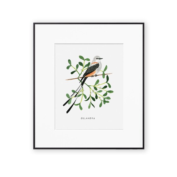 Oklahoma State Bird Art Print | Scissor-tailed Flycatcher