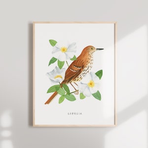 Georgia State Bird Art Print | Georgia Brown Thrasher and Cherokee Rose - State Flower - State Bird - Georgia Wall Art - Home Decor