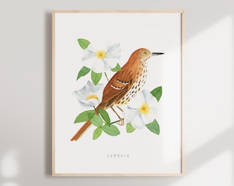 Georgia State Bird Art Print | Brown Thrasher & Cherokee Rose Watercolor