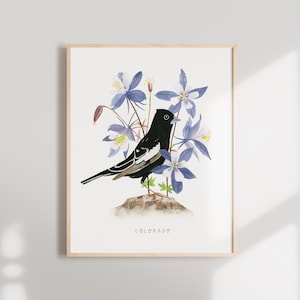 Colorado State Bird Art Print | Colorado Lark Bunting and Columbine - State Flower - State Bird - Colorado Wall Art - Watercolor Home Decor