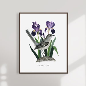 Tennessee State Bird Art Print | Tennessee Mockingbird und Iris - State Flower - State Bird - Tennessee Wall Art - Aquarell Home Decor