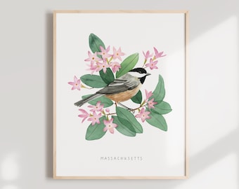Massachusetts Chickadee Art Print | State Bird, Mayflower Watercolor