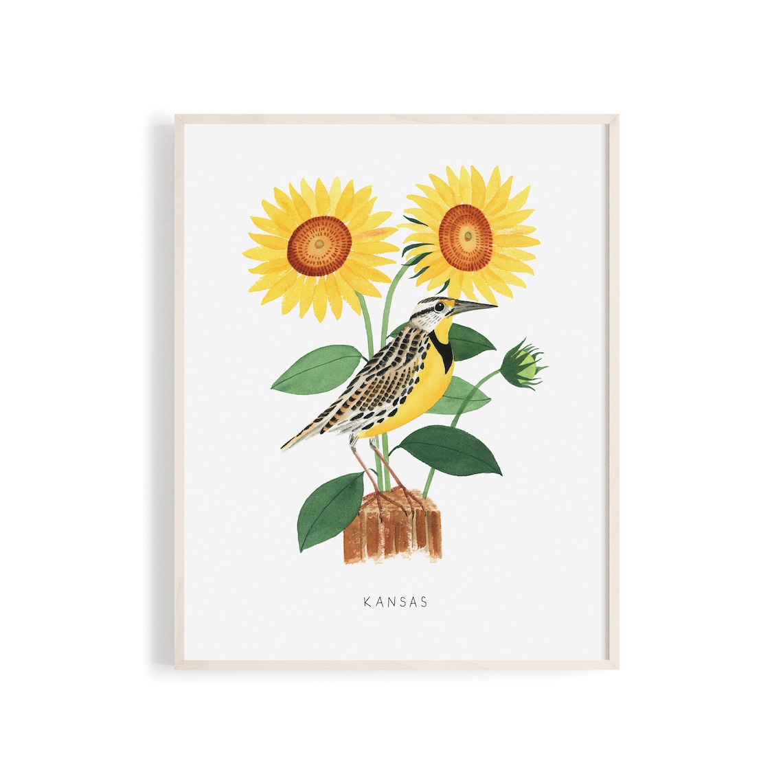 Kansas State Bird Art Print Kansas Meadowlark and Sunflower Etsy