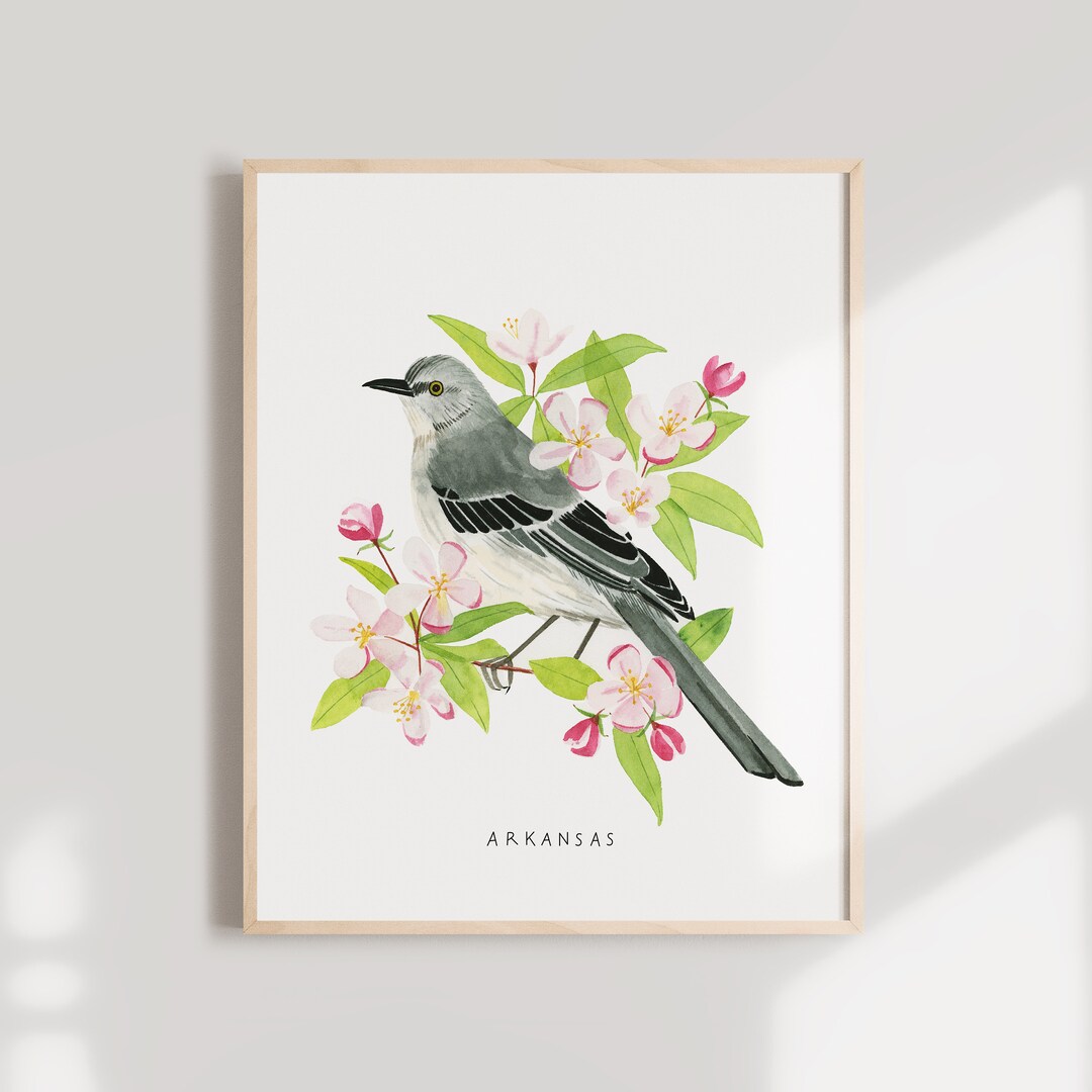 Arkansas State Bird Art Print | Mockingbird and Apple Blossom ...