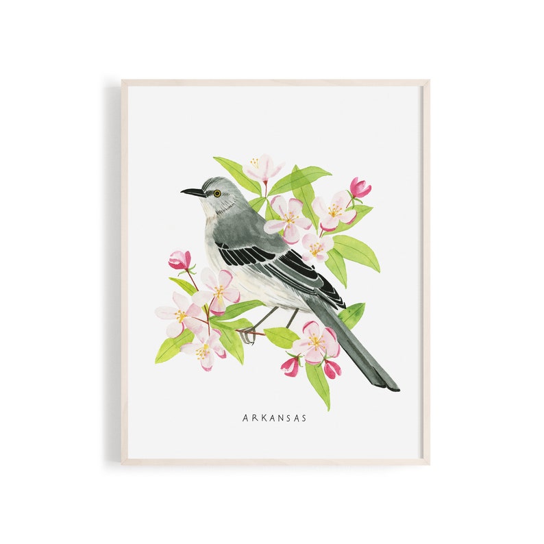 Arkansas State Bird Art Print | Mockingbird and Apple Blossom ...