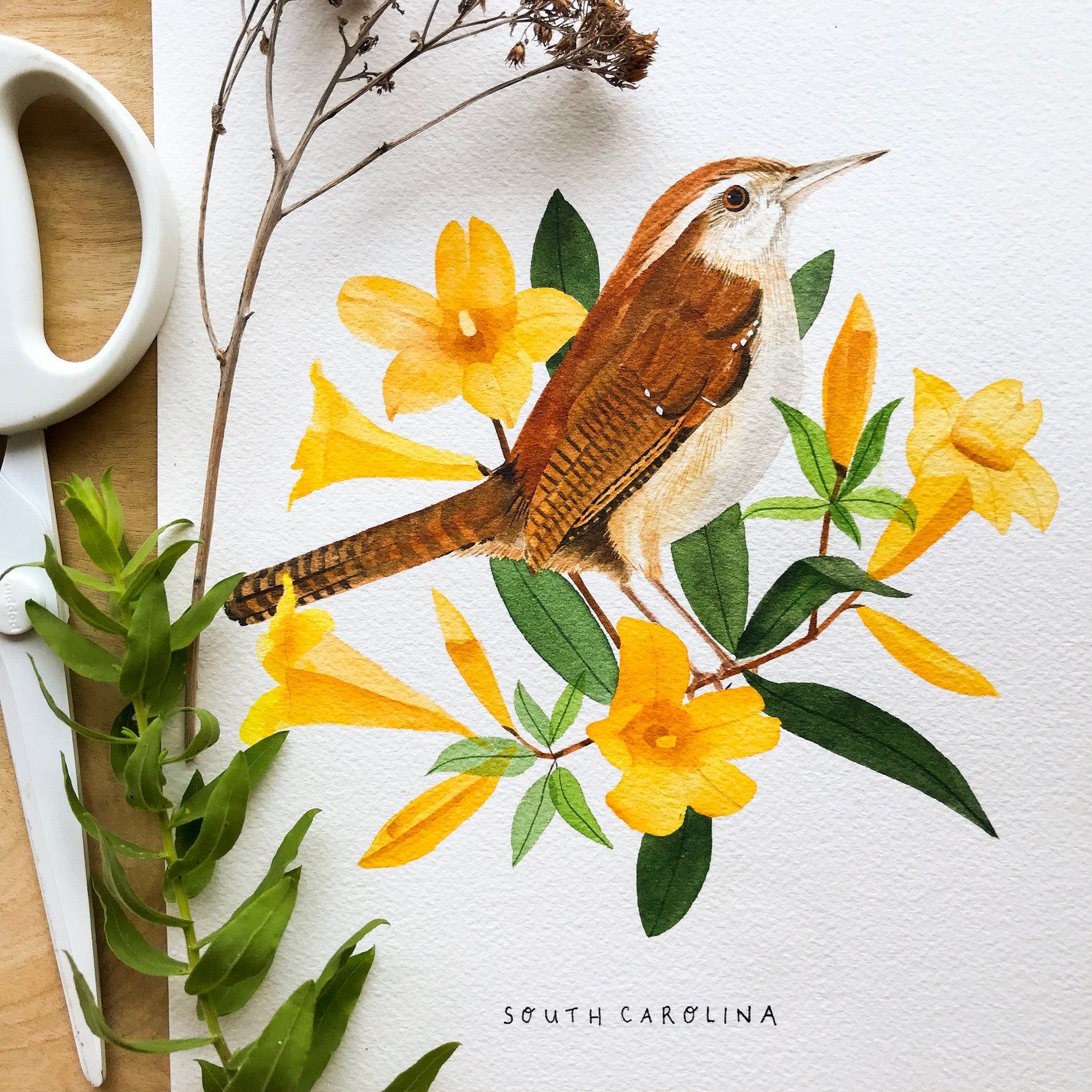 South Carolina State Bird Art Print South Carolina Wren and Jessamine