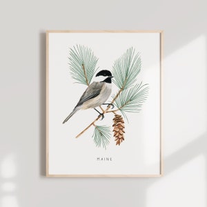 Maine State Bird Art Print | Maine Chickadee and Pinecone - State Flower - State Bird - Maine Wall Art - Watercolor Home Decor