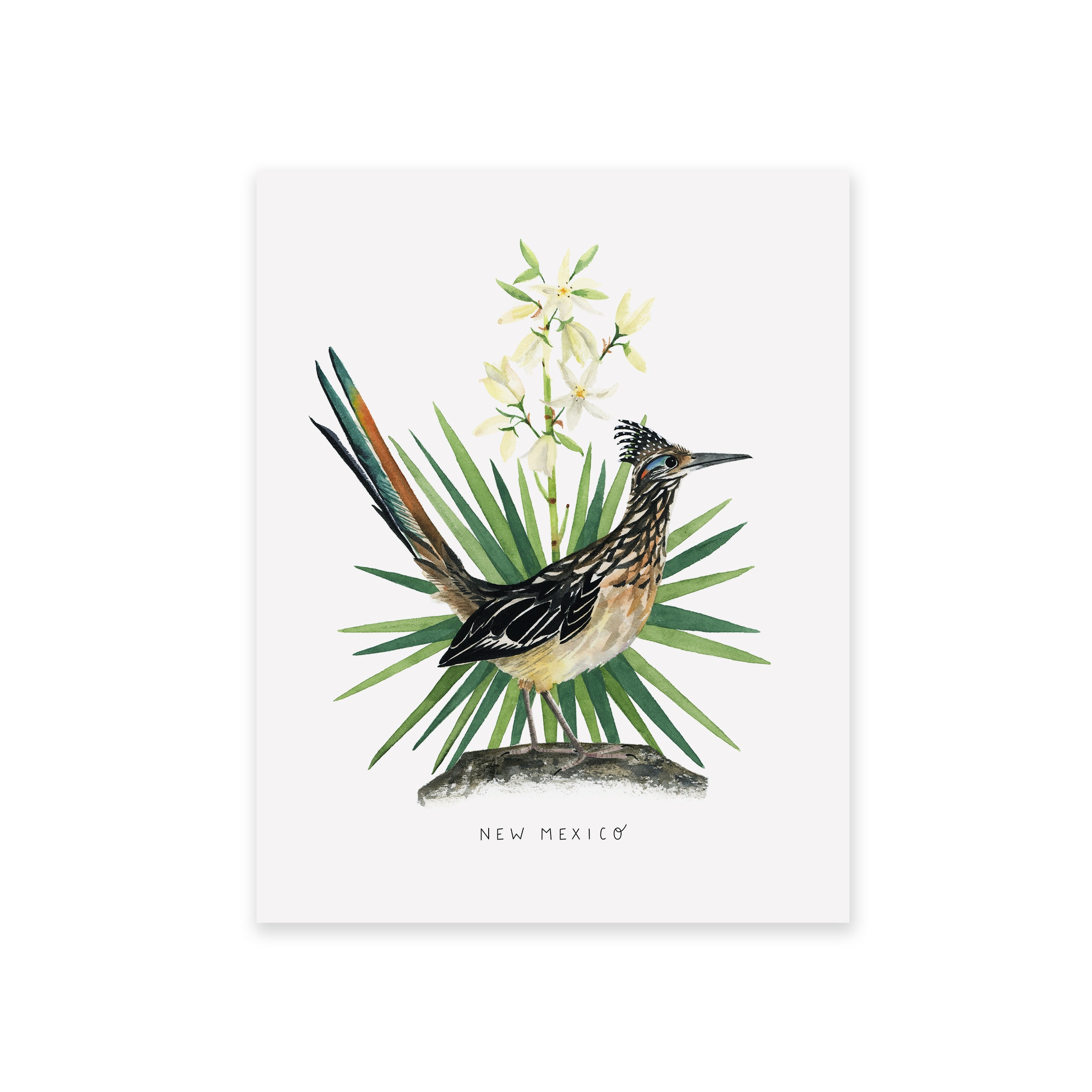 New Mexico State Bird Art Print New Mexico Roadrunner and - Etsy