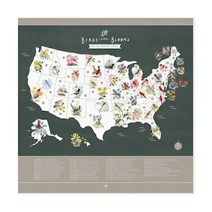 Póster de mapa de aves y flores del estado / Póster de mapa ilustrado de aves y flores del estado moderno - Mapa de aves y botánicos de EE. UU.