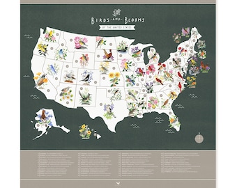 State Bird and Flower Map Poster | Modern State Bird and Flower Illustrated Map Poster - Bird and Botanical US Map