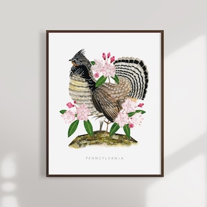 Pennsylvania State Bird Art Print | PA Ruffed Grouse and Mountain Laurel - State Flower - State Bird - Pennsylvania Wall Art - Home Decor