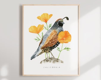 California State Bird Art Print | Cal Valley Quail and California Poppies - State Flower - State Bird - California Wall Art - Home Decor