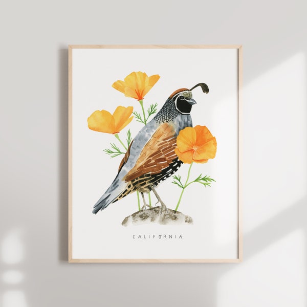 California State Bird Art Print | Cal Valley Quail and California Poppies - State Flower - State Bird - California Wall Art - Home Decor