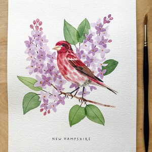New Hampshire State Bird Art Print New Hampshire Red Finch and Lilac