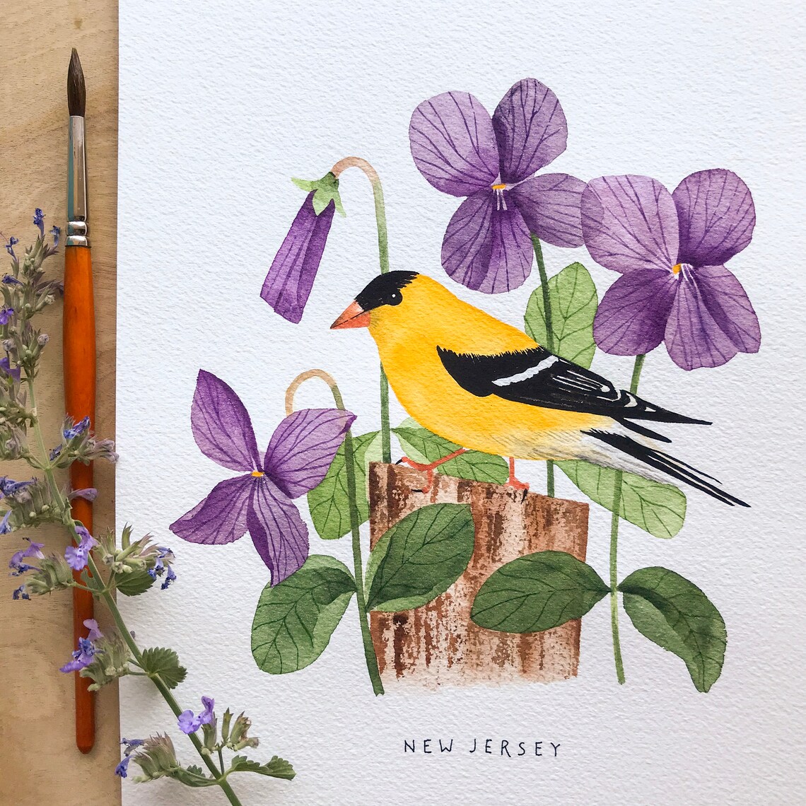 New Jersey State Bird Art Print New Jersey Goldfinch and - Etsy
