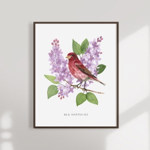 New Hampshire State Bird Art Print | New Hampshire Red Finch and Lilac - State Flower - State Bird - New Hampshire Wall Art - Home Decor