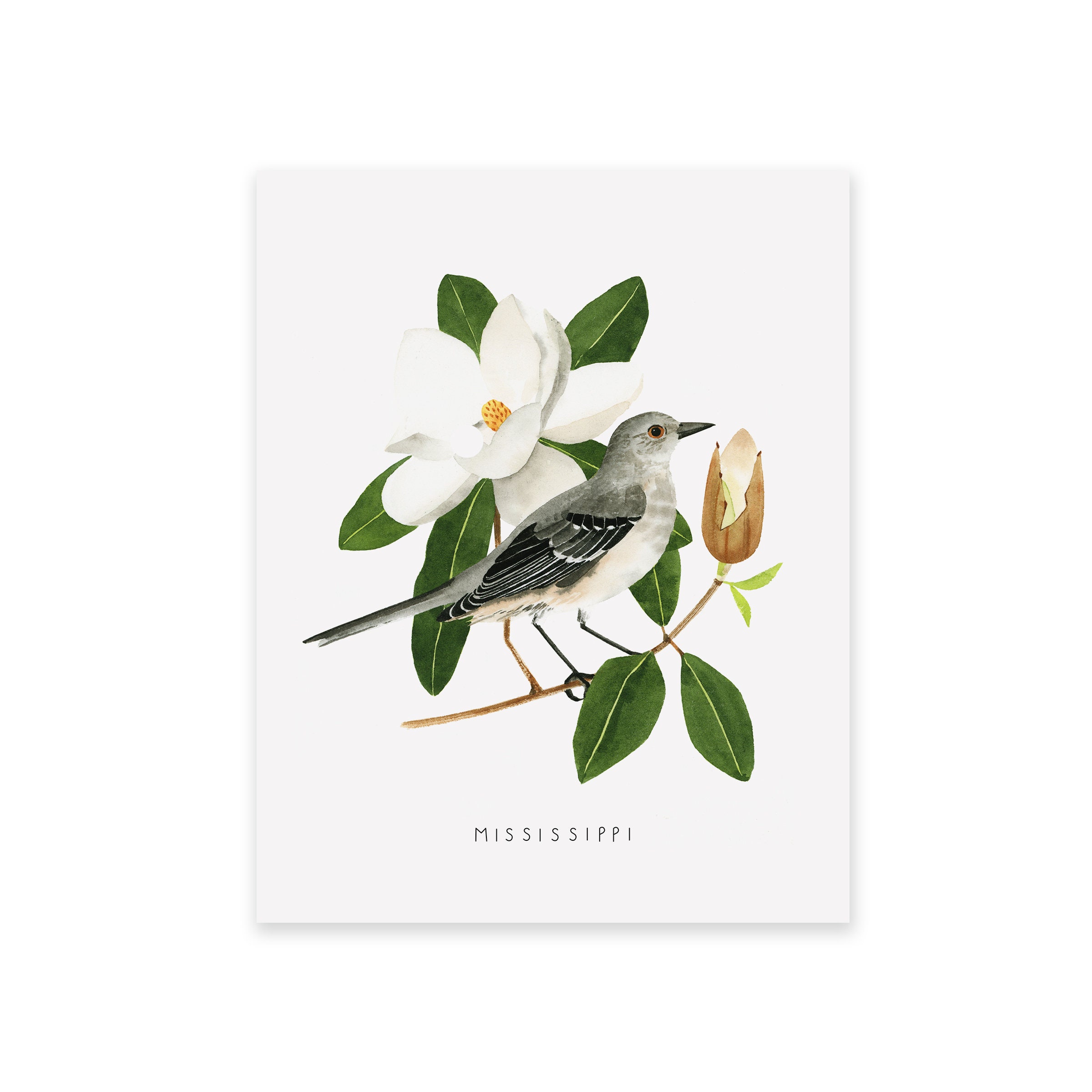 Mississippi State Bird Art Print Mississippi Mockingbird and Etsy