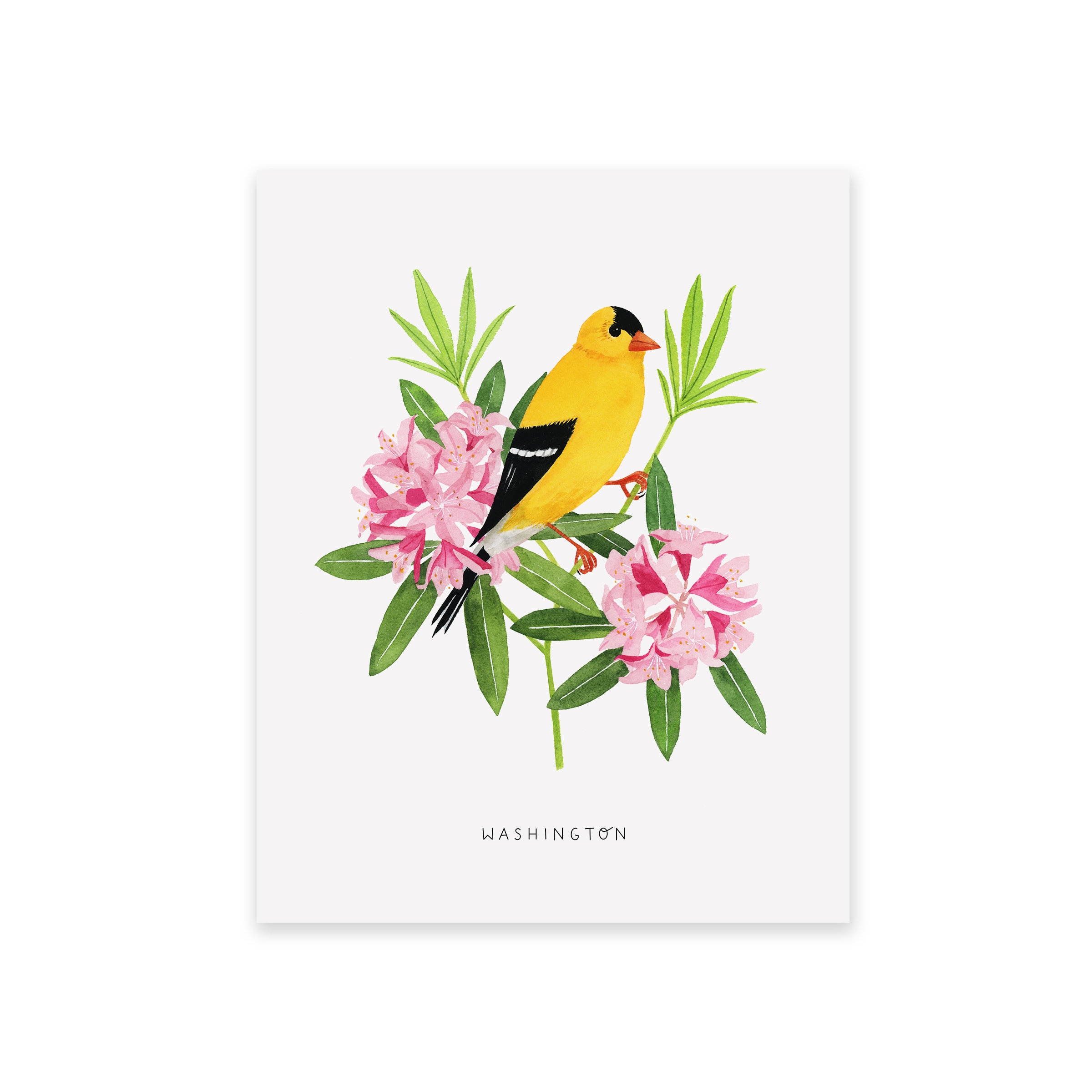 Goldfinch Rhododendron Art Print | Washington State Bird, Flower