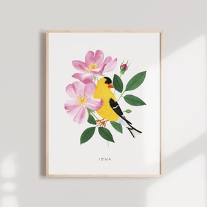 Iowa State Bird Art Print | Iowa Goldfinch and Prairie Rose - State Flower - State Bird - Iowa Wall Art - Watercolor Home Decor