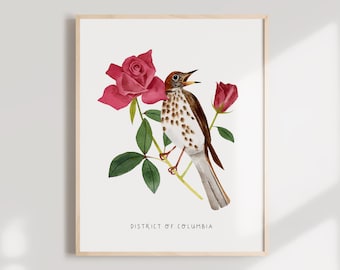 DC Bird and Flower Art Print | Wood Thrush, American Beauty Rose