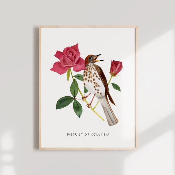 District of Columbia Bird and Flower Art Print | Washington DC Wood Thrush + American Beauty Rose - State Flower - State Bird - DC Wall Art