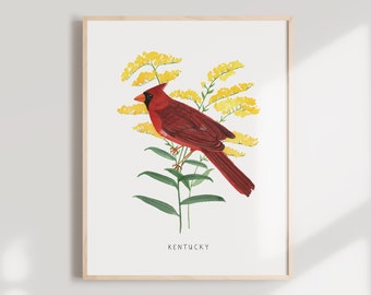 Kentucky Cardinal Watercolor Art Print | Goldenrod State Flower