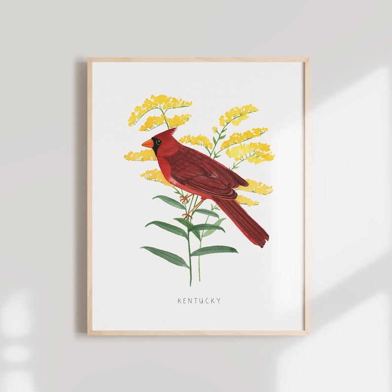 May include: A red cardinal bird perched on a branch of yellow flowers with green leaves. The text "KENTUCKY" is printed below the bird and flowers.