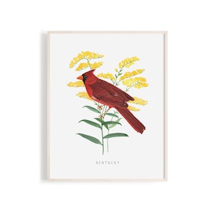 May include: A red cardinal bird perched on a branch of yellow flowers with green leaves. The text "KENTUCKY" is printed below the bird and flowers.